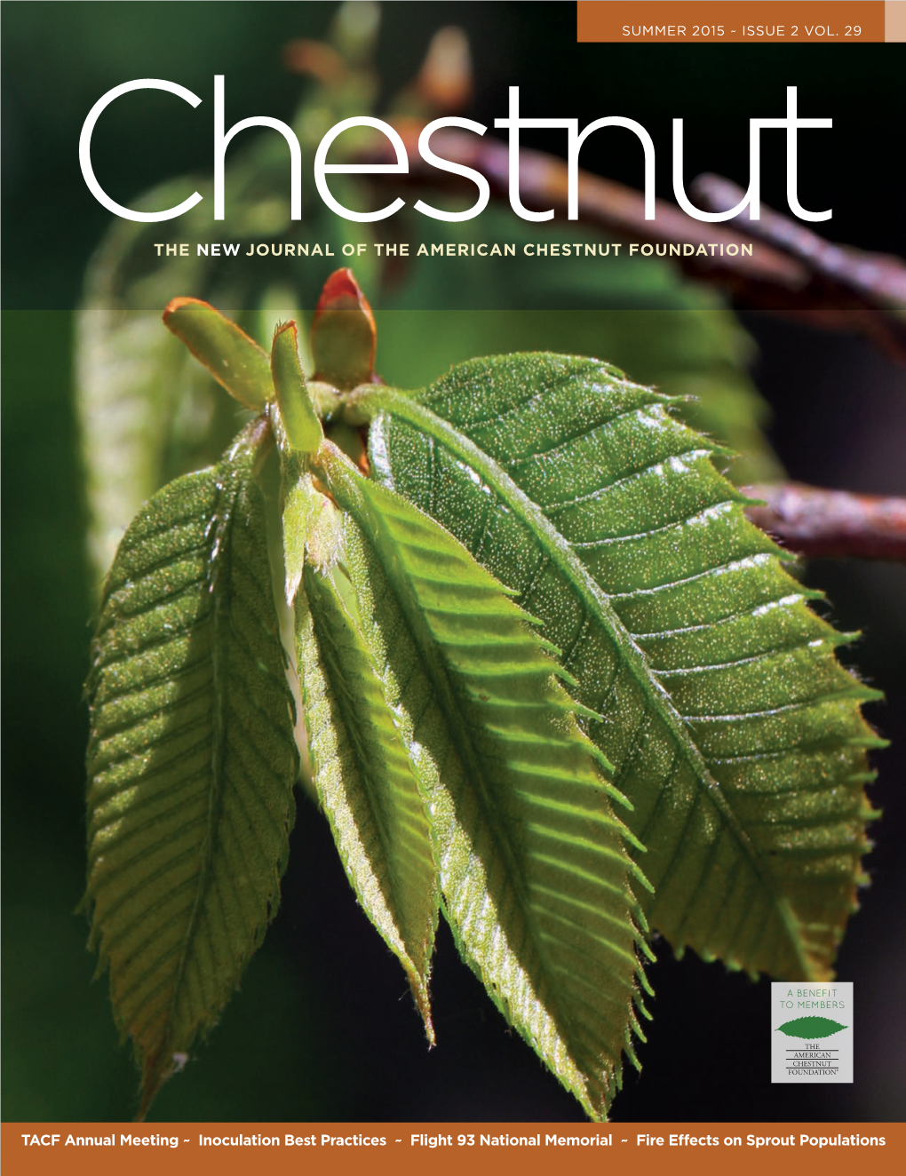 The New Journal of the American Chestnut Foundation