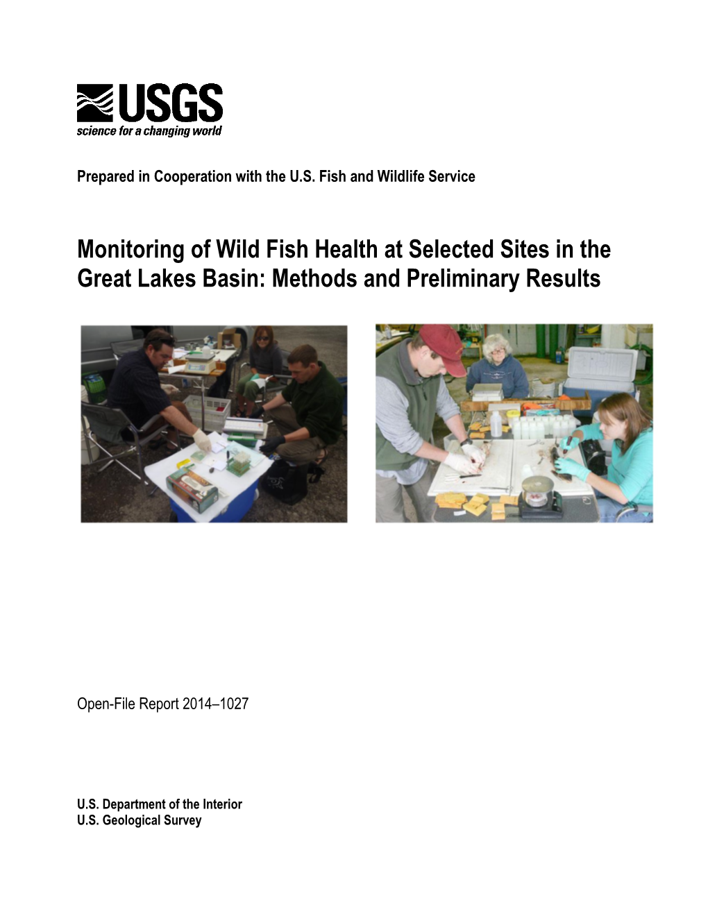 Monitoring of Wild Fish Health at Selected Sites in the Great Lakes Basin: Methods and Preliminary Results