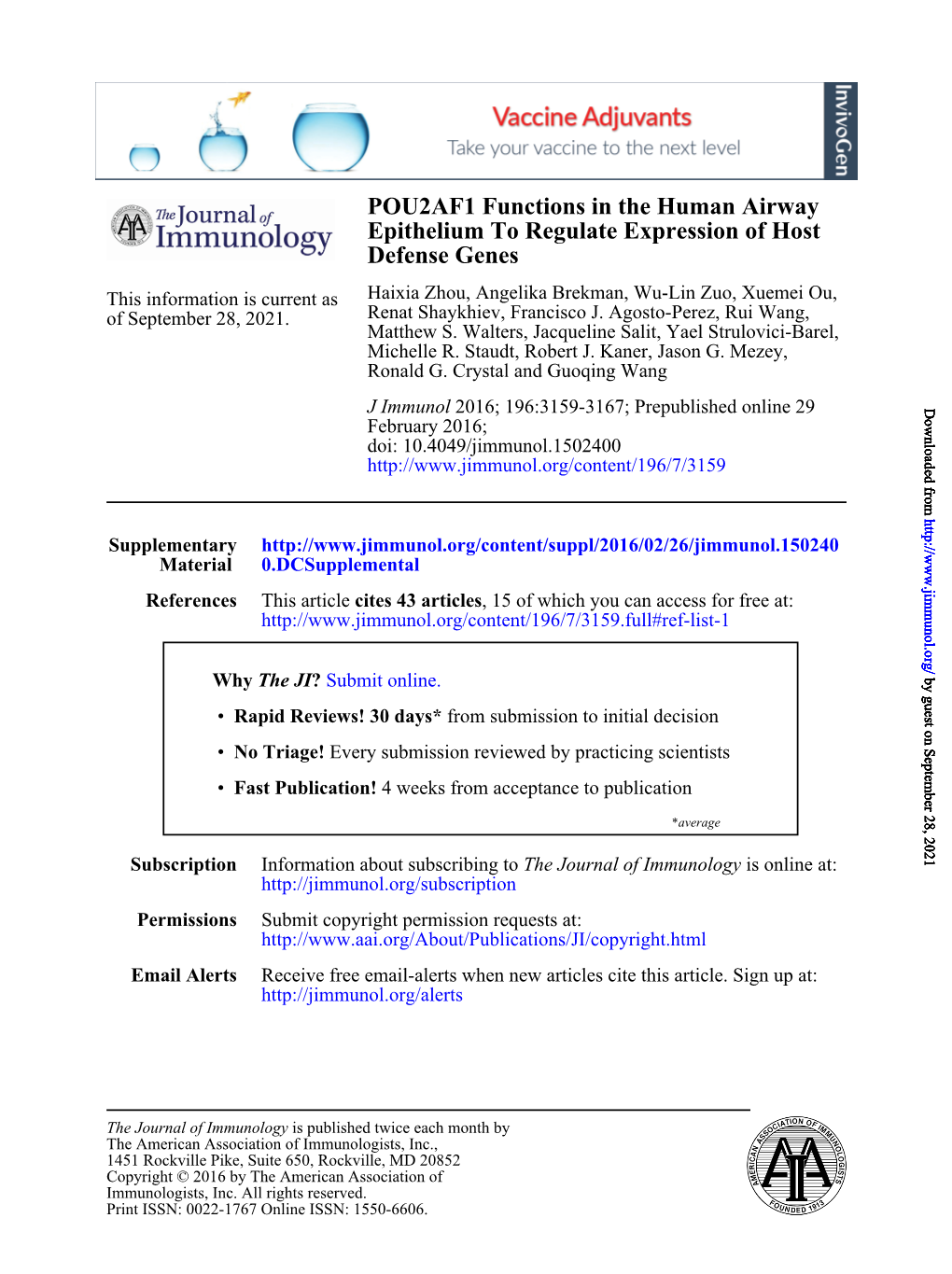 POU2AF1 Functions in the Human Airway Epithelium to Regulate Expression of Host Defense Genes