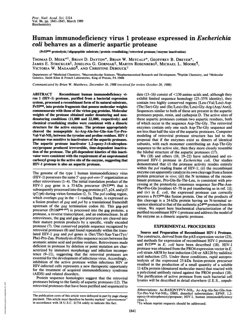 Human Immunodeficiency Virus 1 Protease Expressed in Escherichia