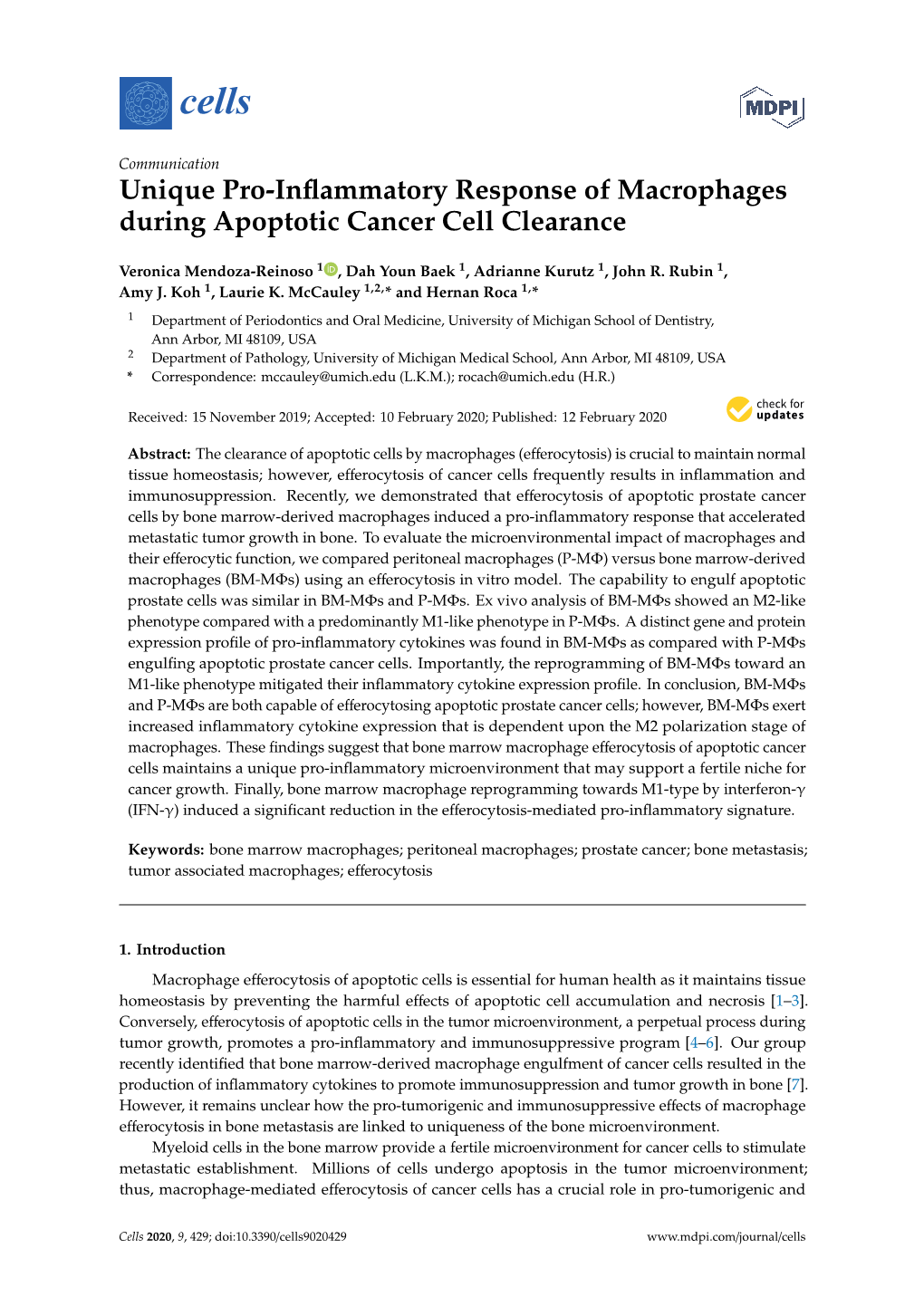 Unique Pro-Inflammatory Response of Macrophages During Apoptotic