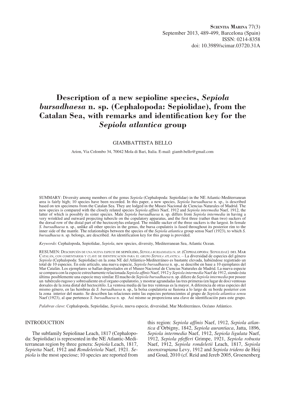 Description of a New Sepioline Species, Sepiola Bursadhaesa N. Sp