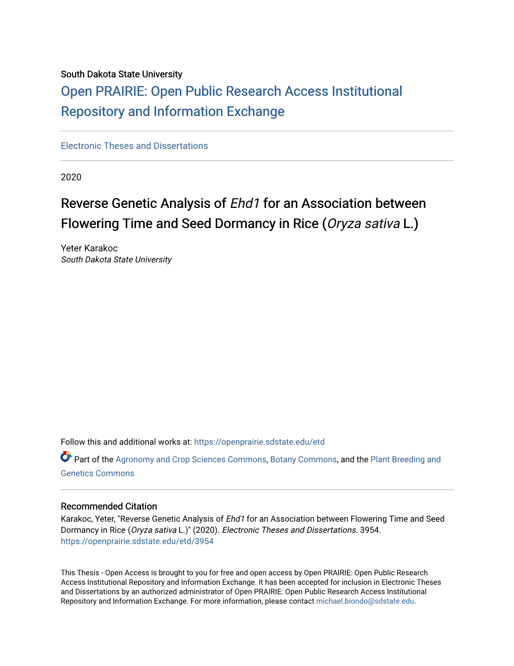 For an Association Between Flowering Time and Seed Dormancy in Rice (Oryza Sativa L.)