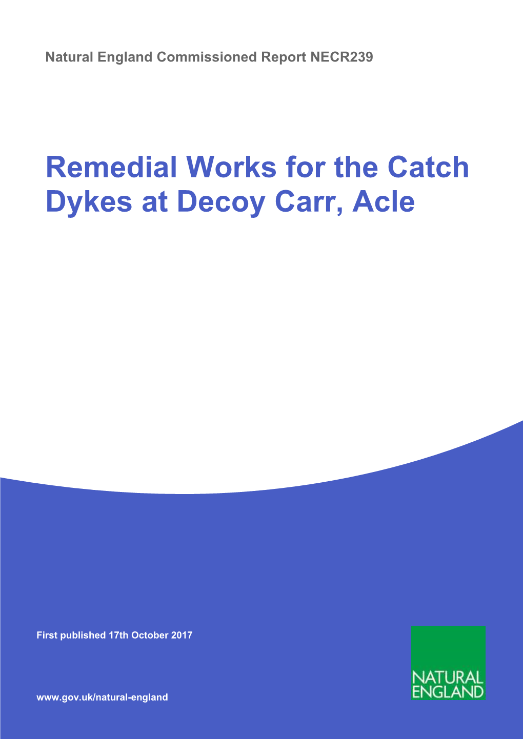 Remedial Works for the Catch Dykes at Decoy Carr, Acle