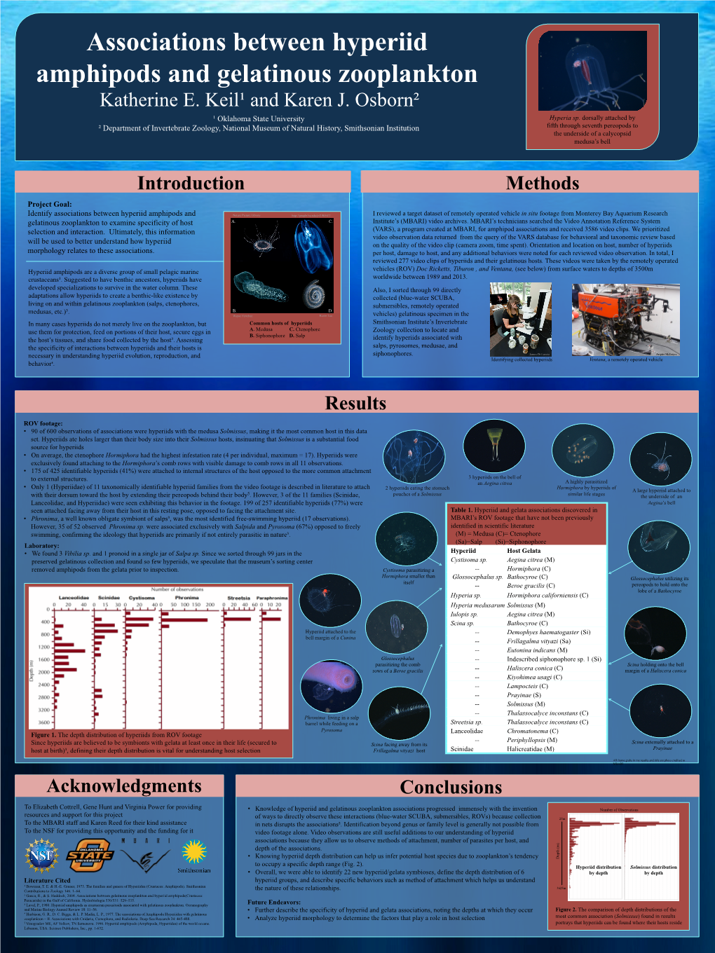 Associations Between Hyperiid Amphipods and Gelatinous Zooplankton Katherine E