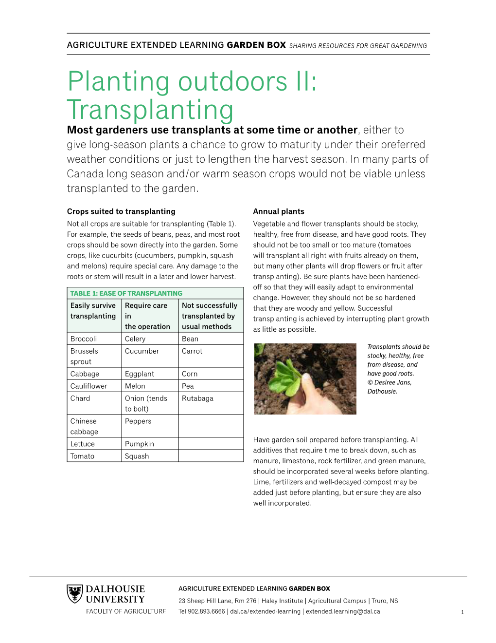 Planting Outdoors II: Transplanting