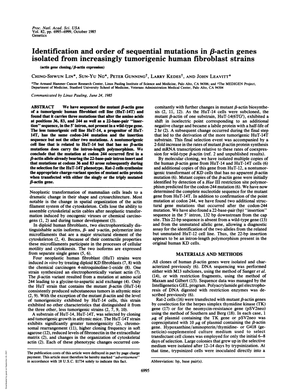 Identification and Order of Sequential Mutations in F8-Actin Genes Isolated