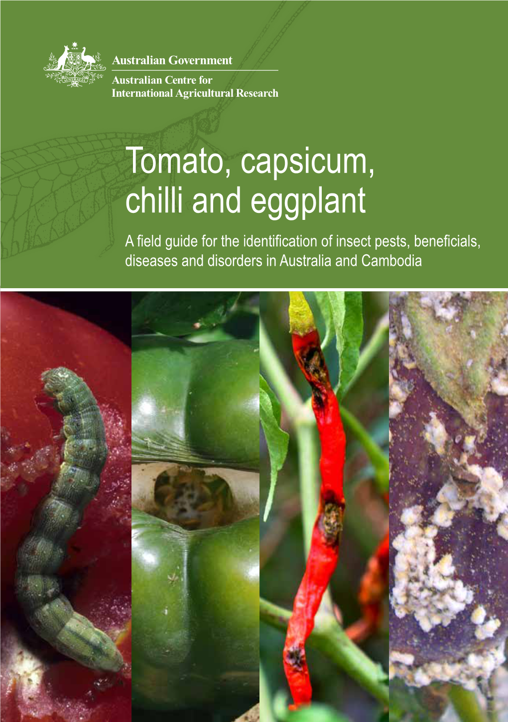 Tomato, Capsicum, Chilli and Eggplant a Field Guide for the Identification of Insect Pests, Beneficials, Diseases and Disorders in Australia and Cambodia