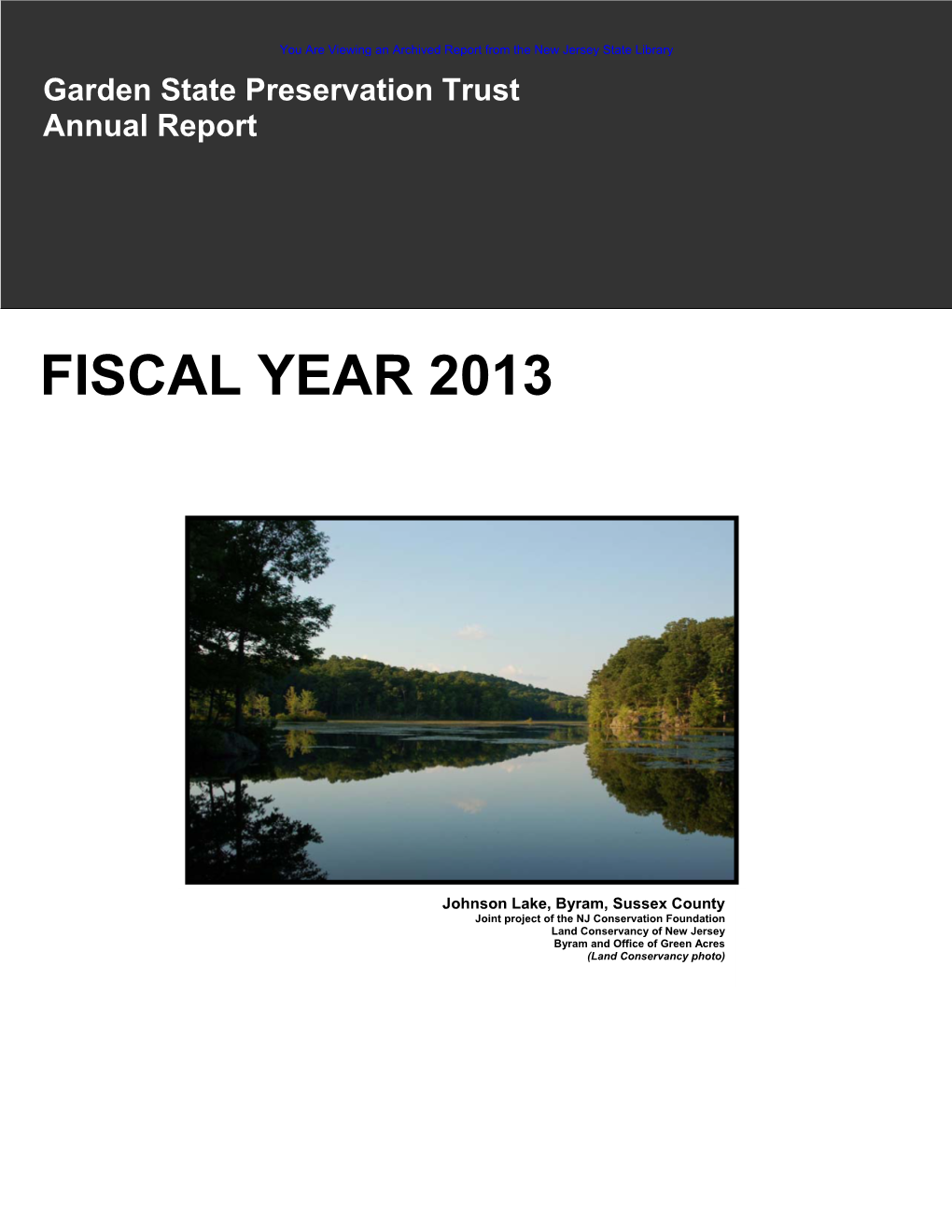 2013 Annual Report