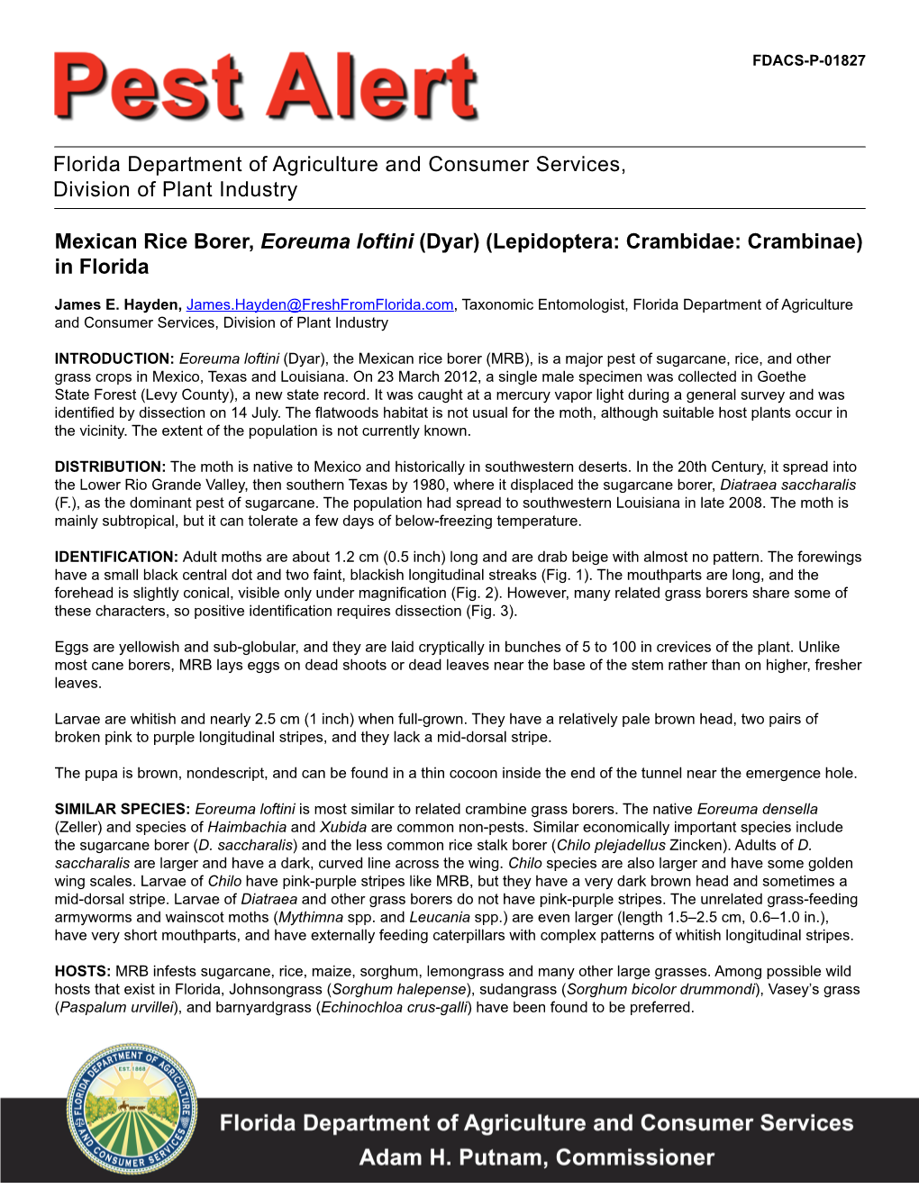Mexican Rice Borer, Eoreuma Loftini (Dyar) (Lepidoptera: Crambidae: Crambinae) in Florida Florida Department of Agriculture