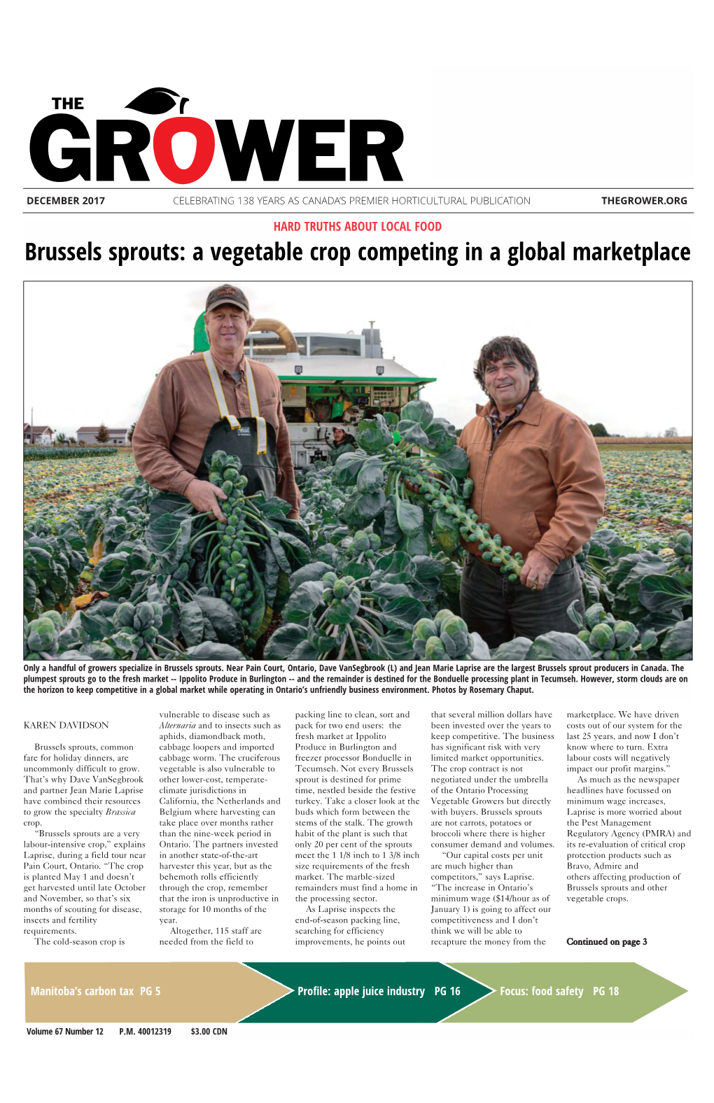 Brussels Sprouts: a Vegetable Crop Competing in a Global Marketplace