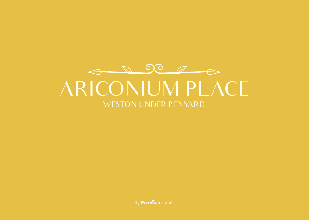 2018 08 08 Ariconium Place Brochure