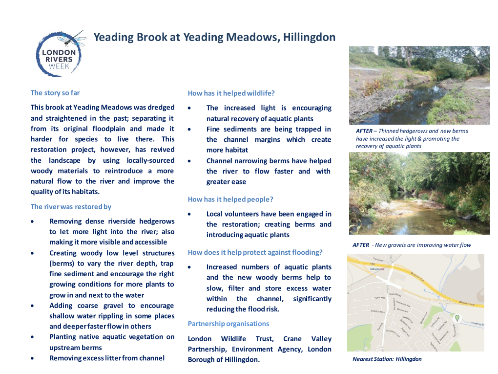 Yeading Brook at Yeading Meadows, Hillingdon