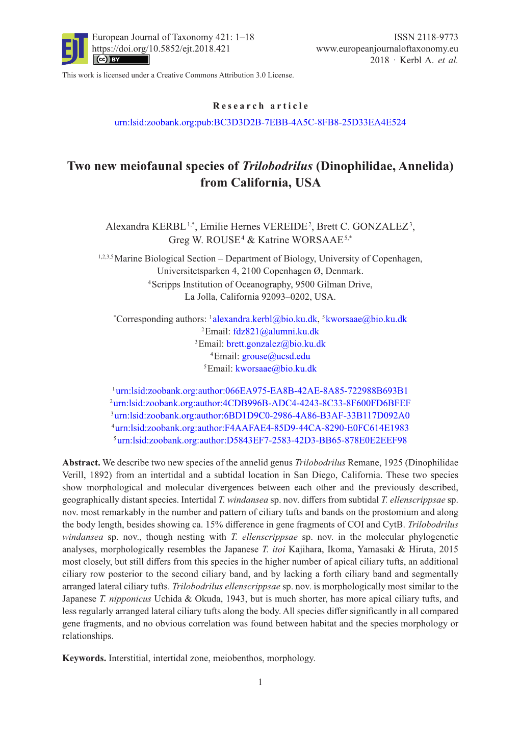 Two New Meiofaunal Species of Trilobodrilus (Dinophilidae, Annelida) from California, USA