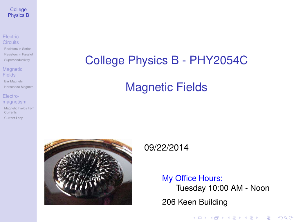 Magnetic Fields Bar Magnets Horseshoe Magnets Magnetic Fields Electro- Magnetism Magnetic Fields from Currents Current Loop