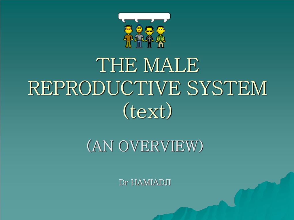 THE MALE REPRODUCTIVE SYSTEM (Text)