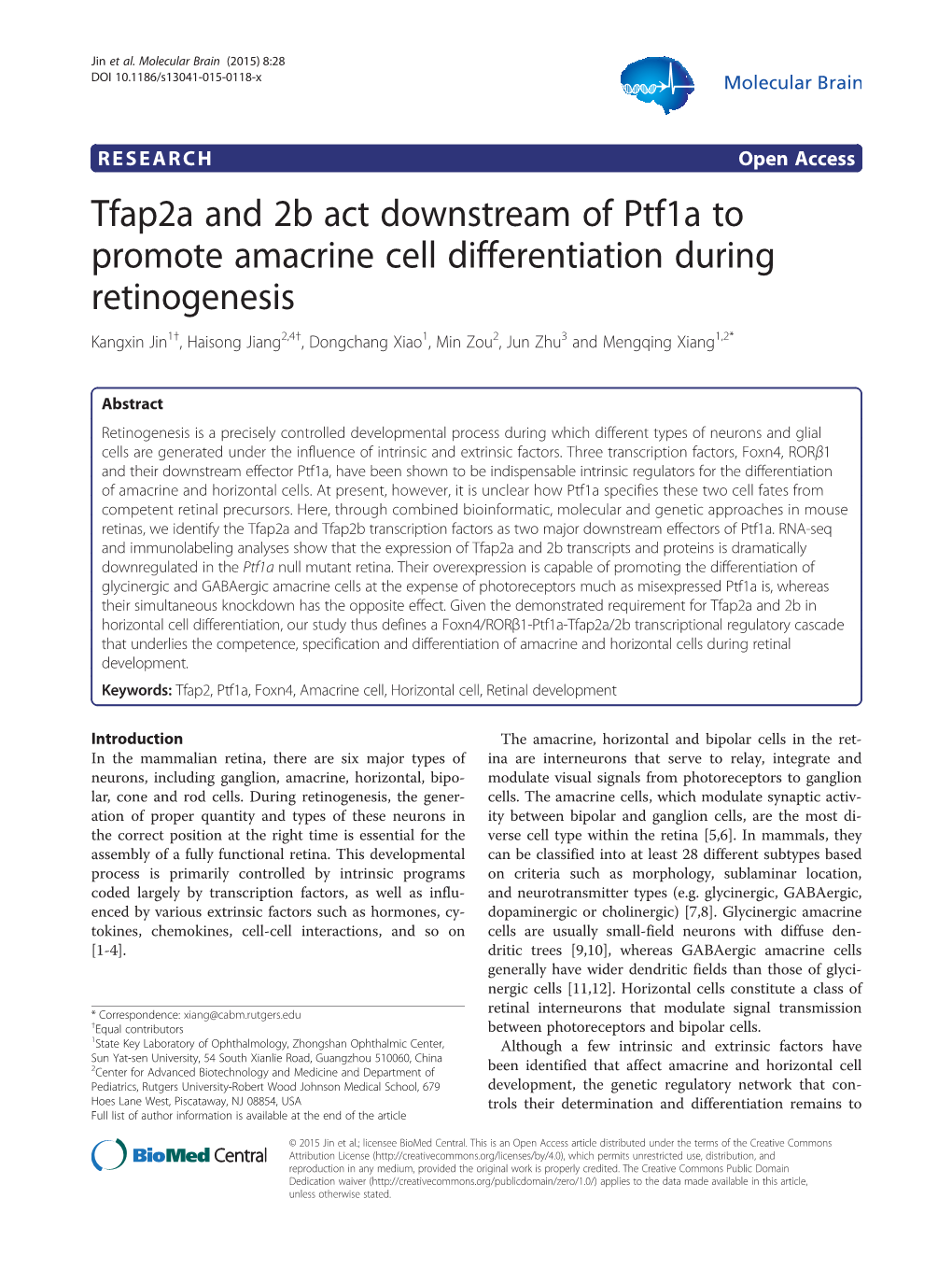 Tfap2a and 2B Act Downstream of Ptf1a to Promote Amacrine Cell Differentiation During Retinogenesis