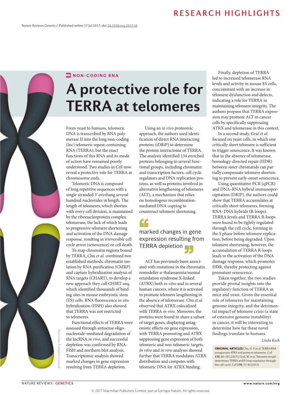 Non-Coding RNA: a Protective Role for TERRA at Telomeres