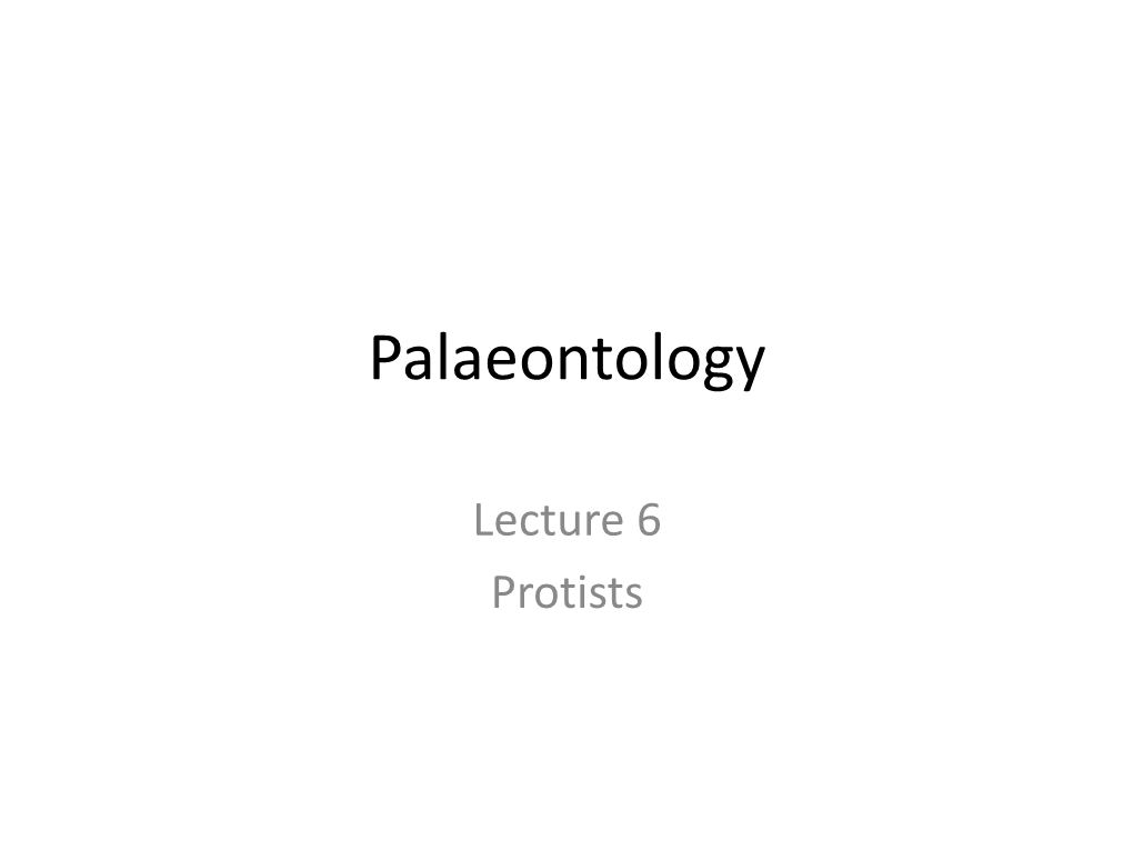 Palaeontology