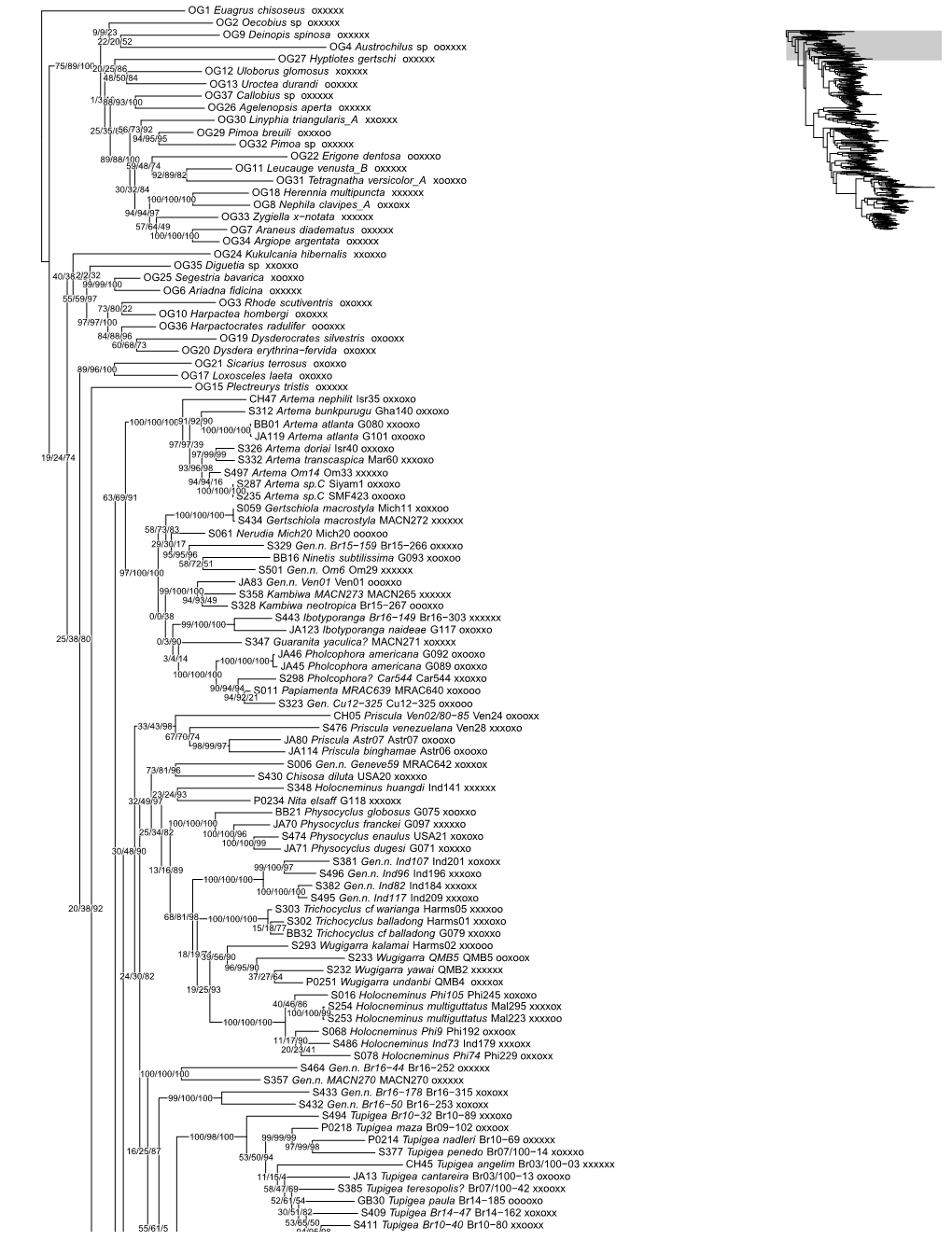 R Graphics Output