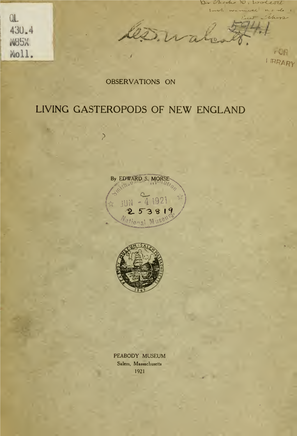 Observations on Living Gasteropods of New England