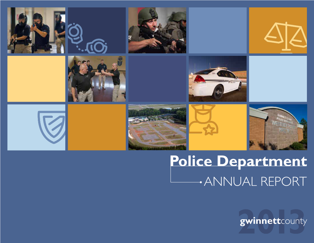 2013 Annual Report