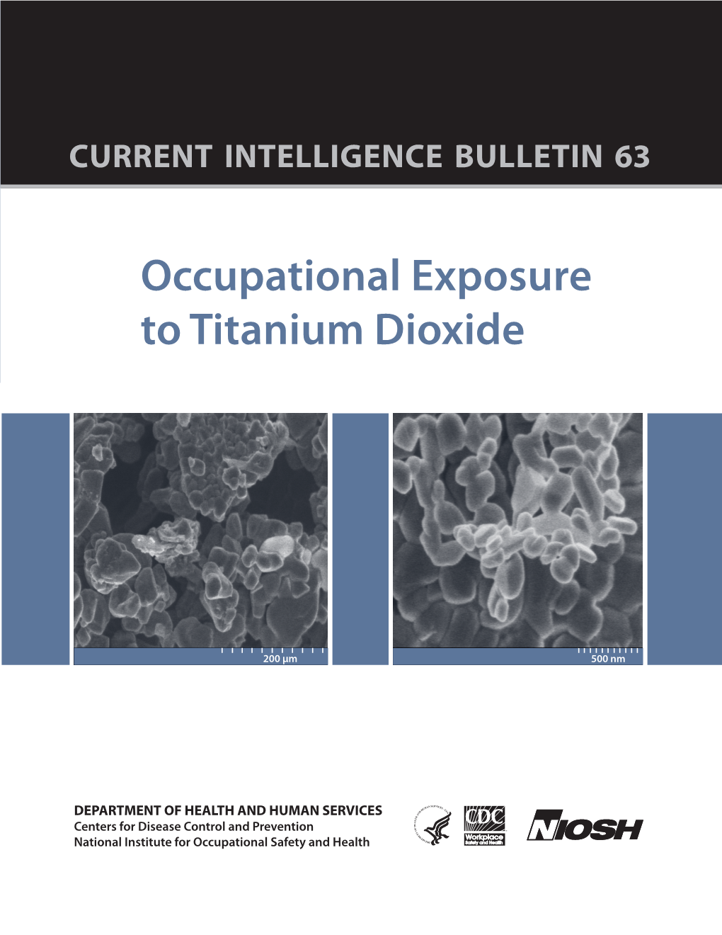 Occupational Exposure to Titanium Dioxide