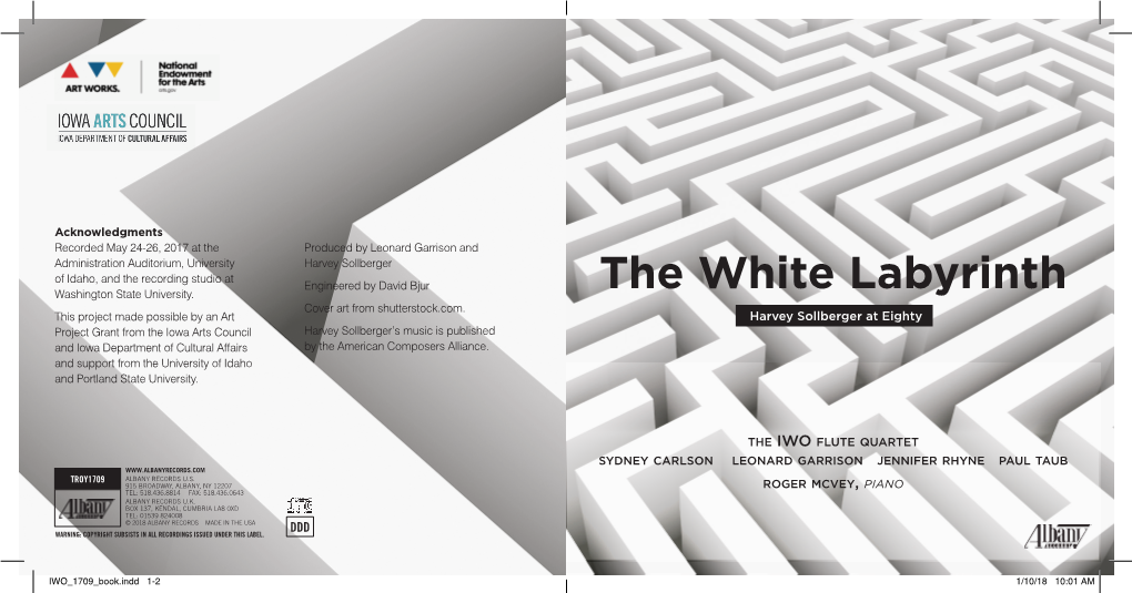 The White Labyrinth Cover Art from Shutterstock.Com