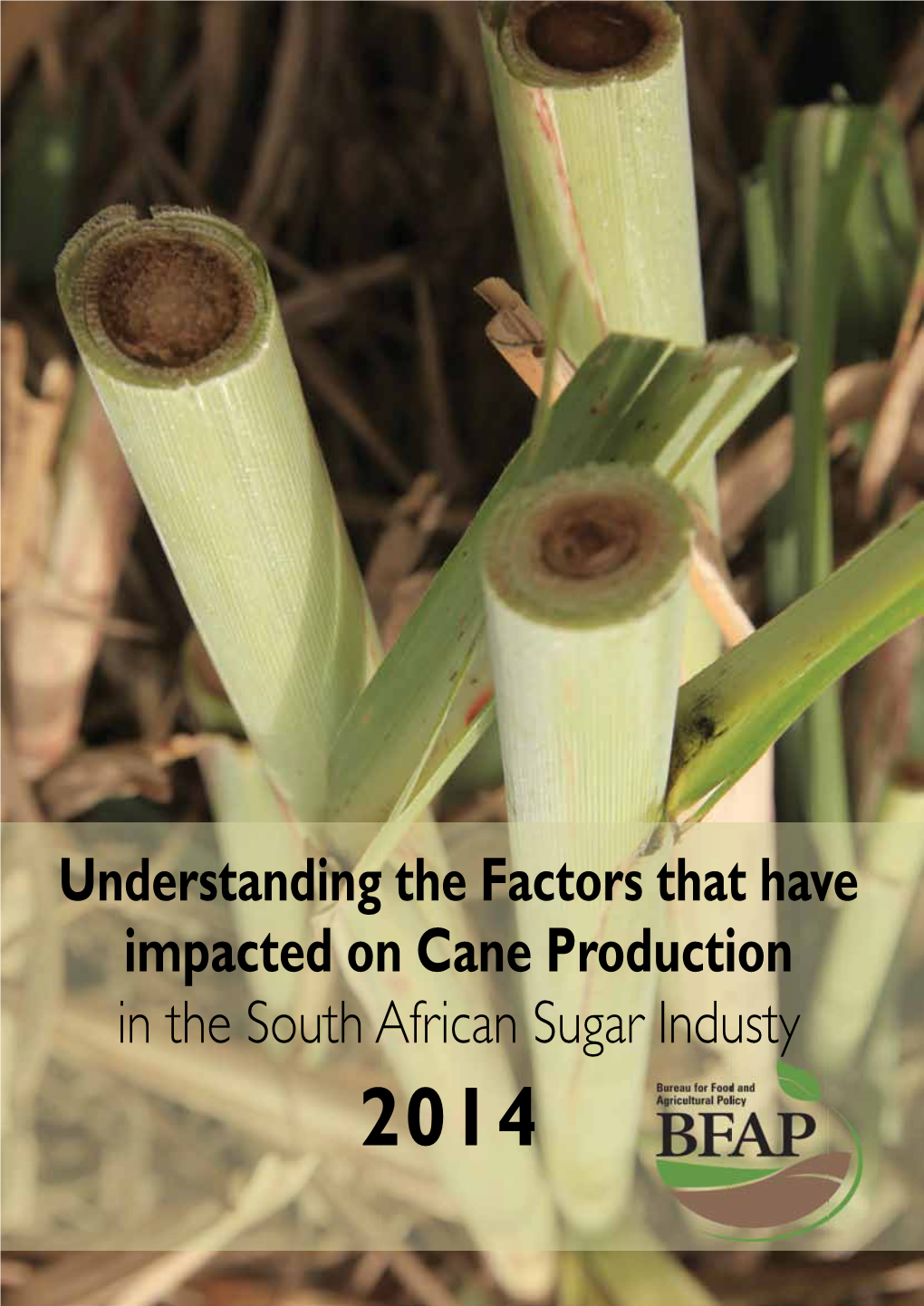 Impacted on Cane Production in the South African Sugar Industry