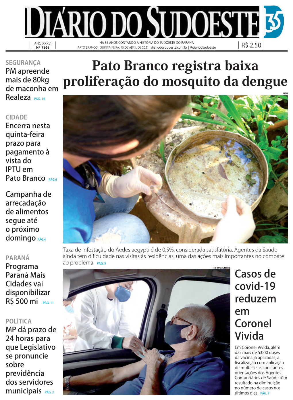 Pato Branco Registra Baixa Proliferação Do Mosquito Da Dengue