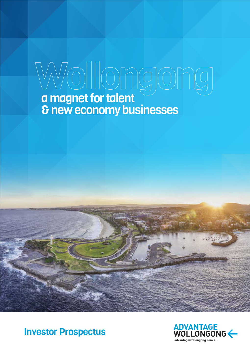 A Magnet for Talent & New Economy Businesses