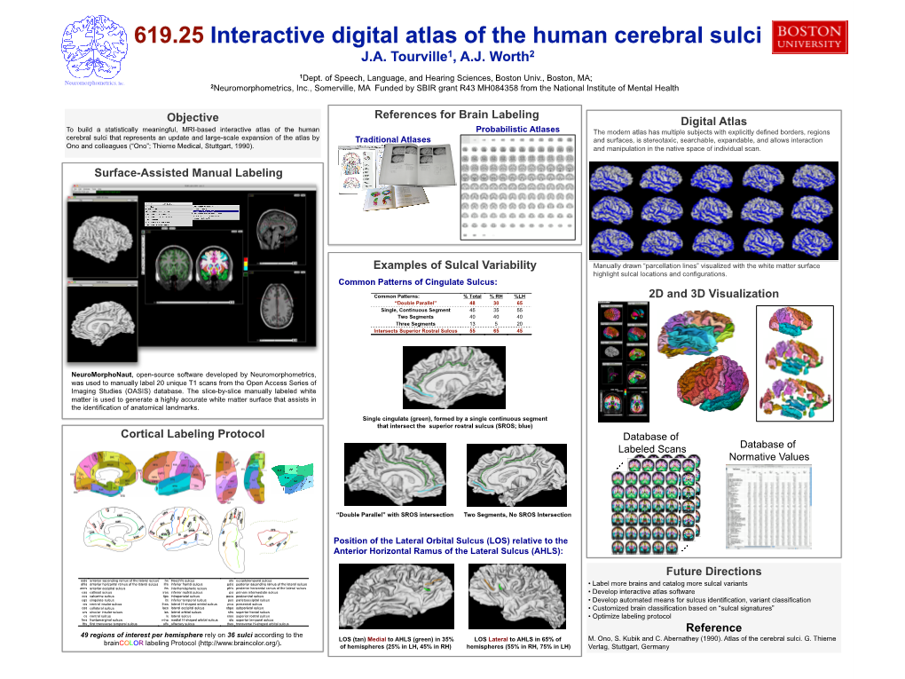 Objective Cortical Labeling Protocol Surface-Assisted Manual Labeling