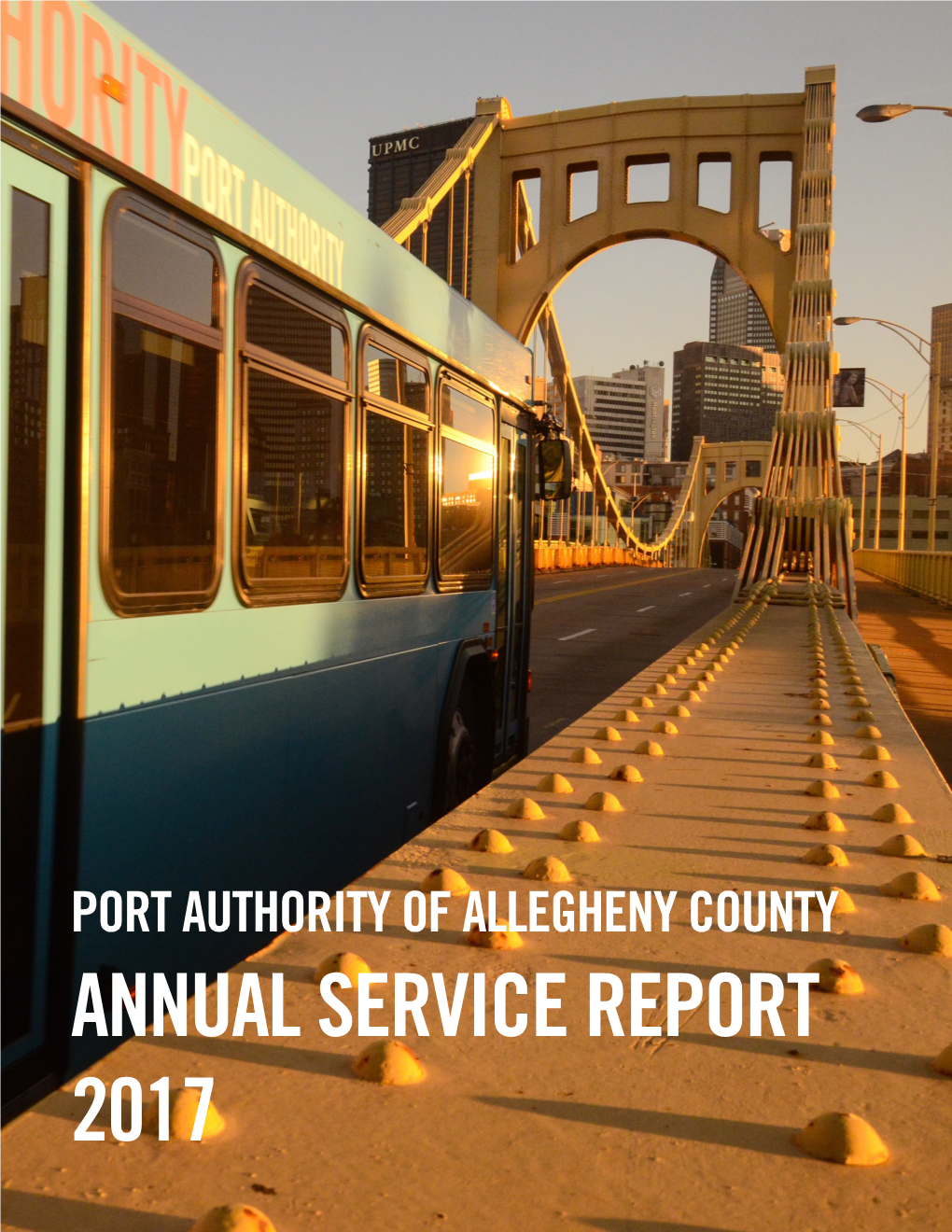 Annual Service Report 2017 Contents