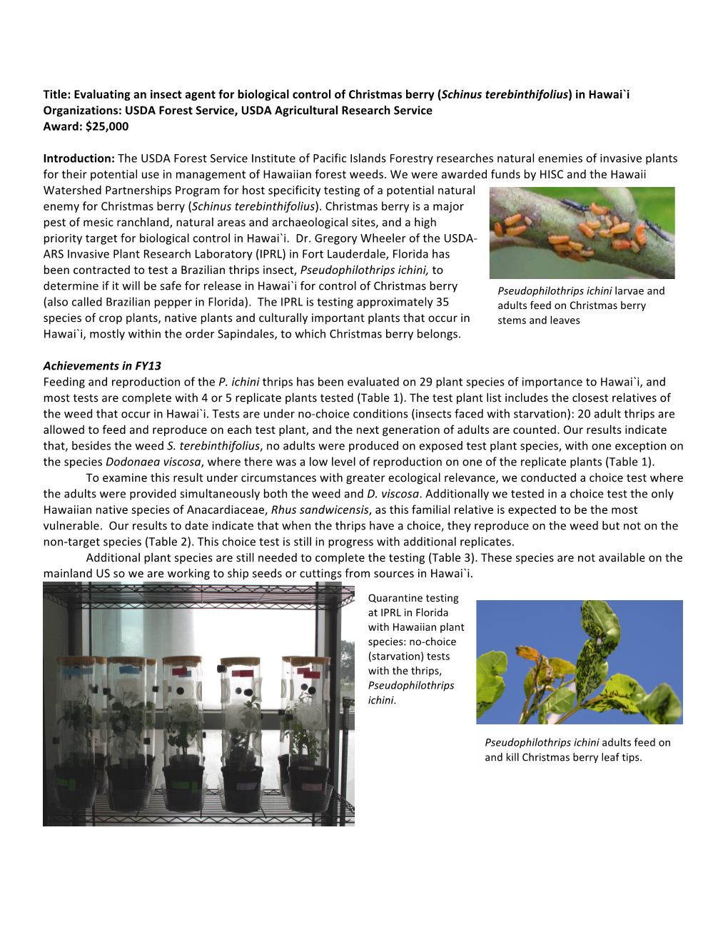 Title: Evaluating an Insect Agent for Biological Control of Christmas Berry