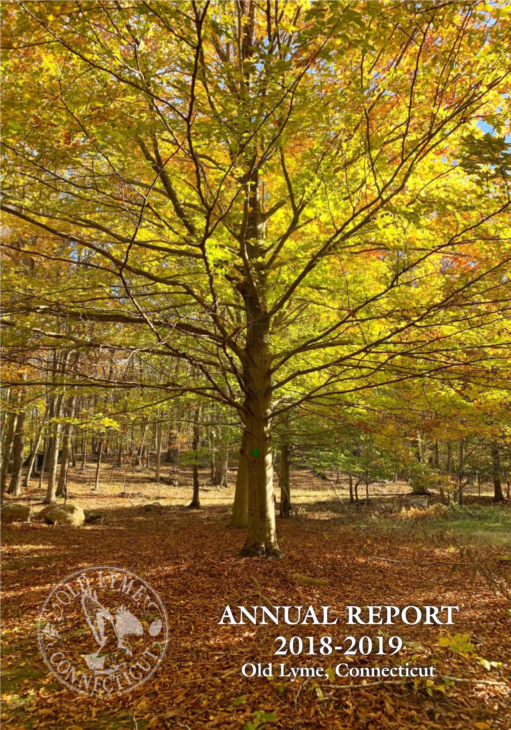 2019 Annual Report