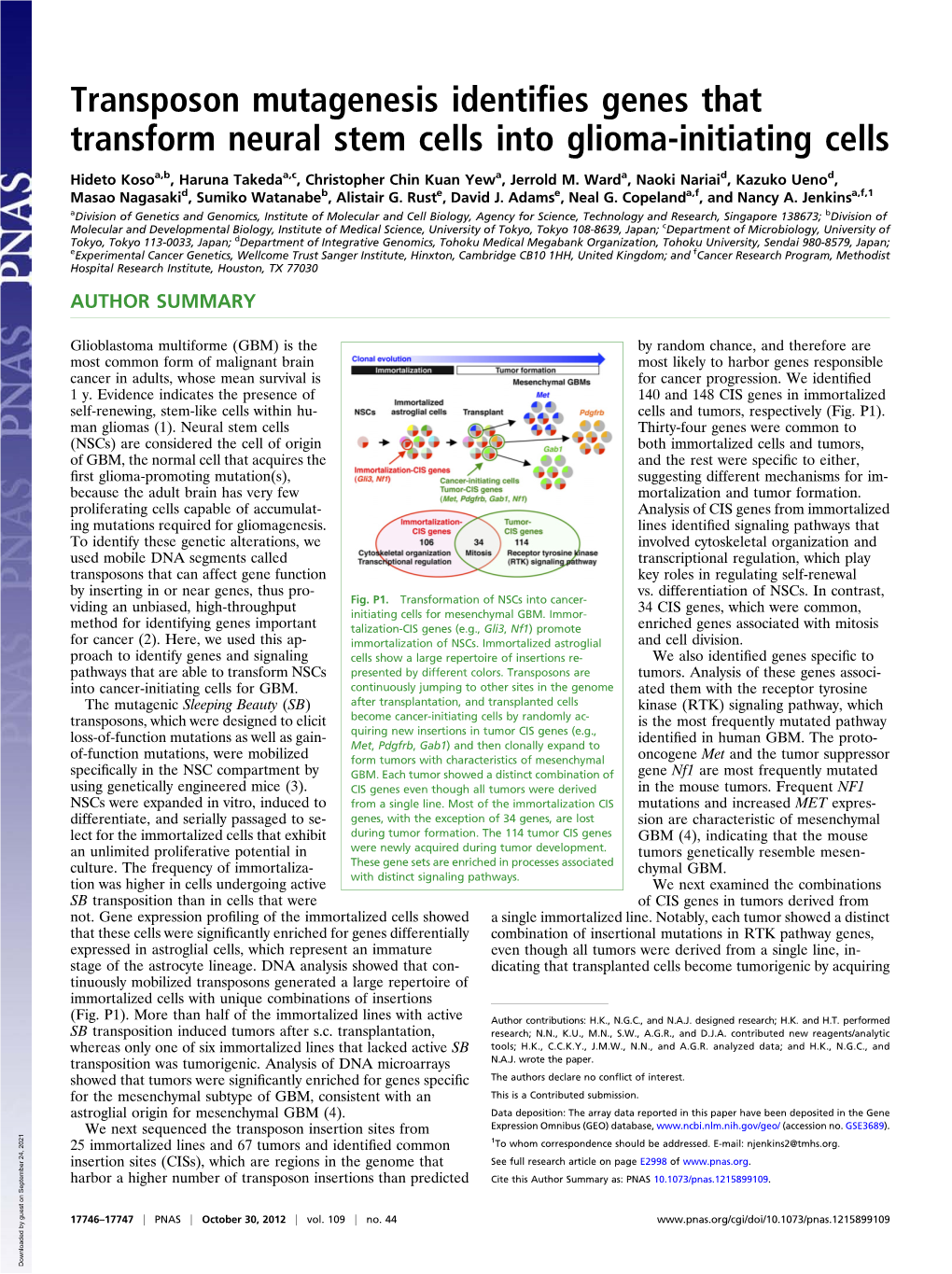 Transposon Mutagenesis Identifies Genes That Transform Neural Stem