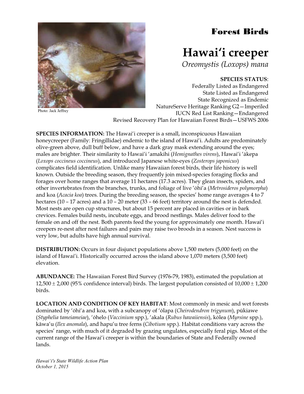 Hawai'i Creeper