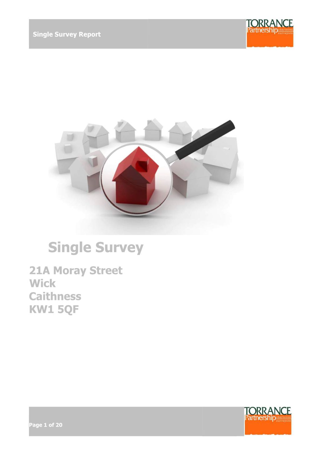 Single Survey Report