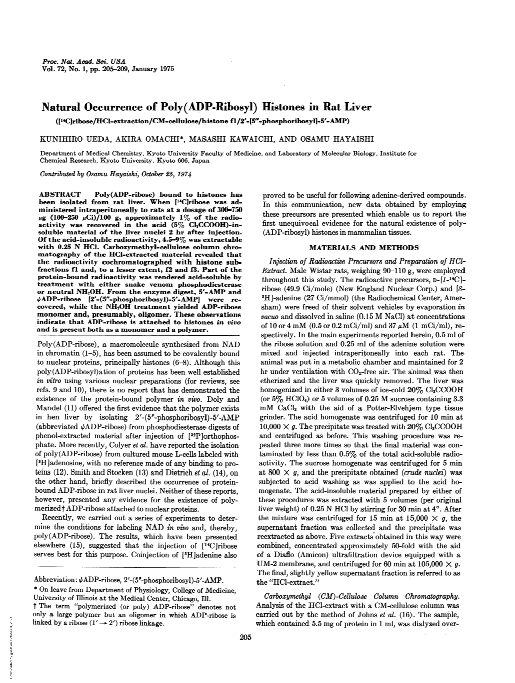 Natural Occurrence of Poly(ADP-Ribosyl) Histones in Rat