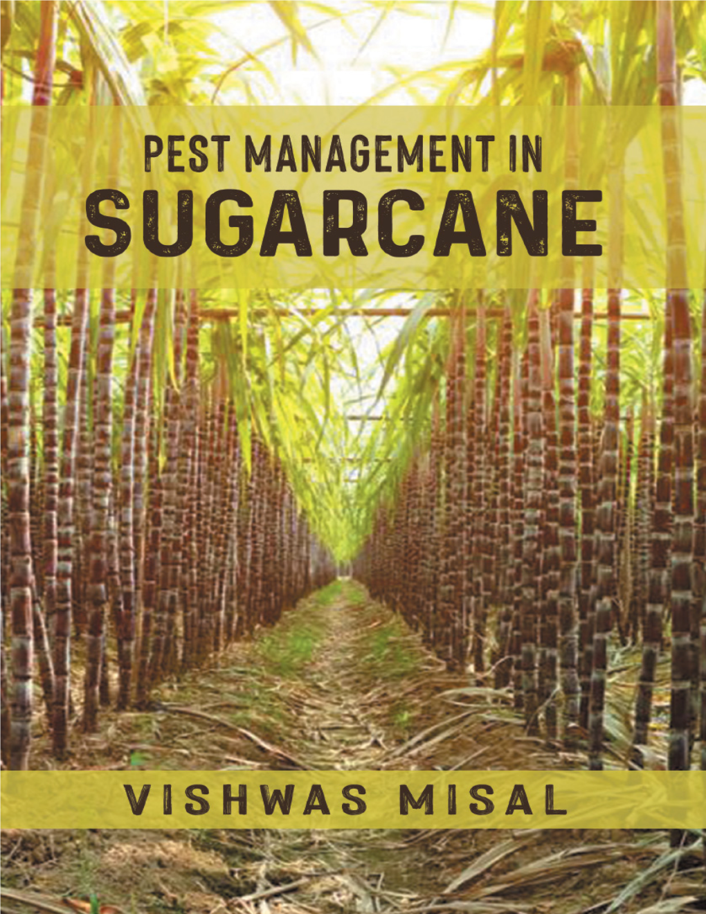 Pest Management in Sugarcane