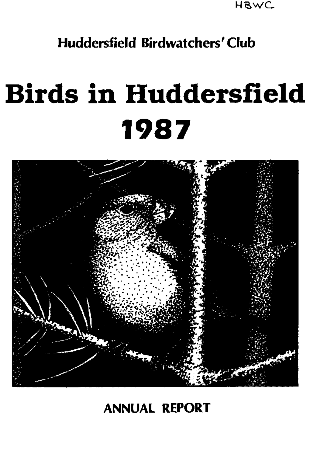 Birds in Huddersfield 1987