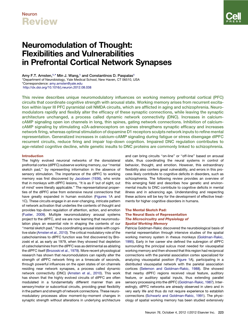 Flexibilities and Vulnerabilities in Prefrontal Cortical Network Synapses