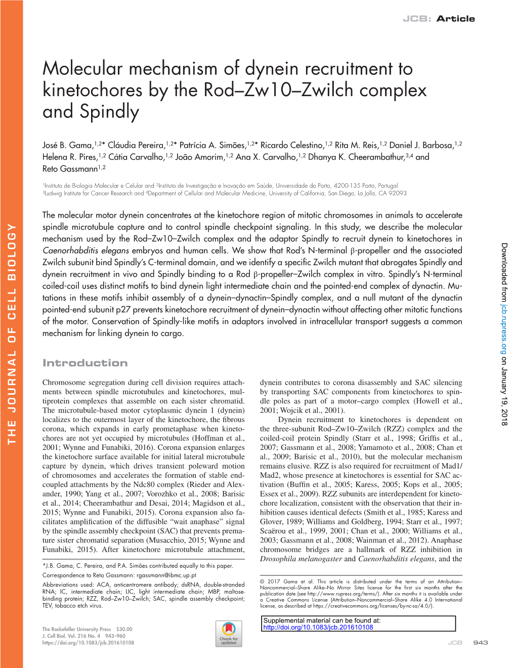 Molecular Mechanism of Dynein Recruitment to Kinetochores by the Rod–Zw10–Zwilch Complex and Spindly