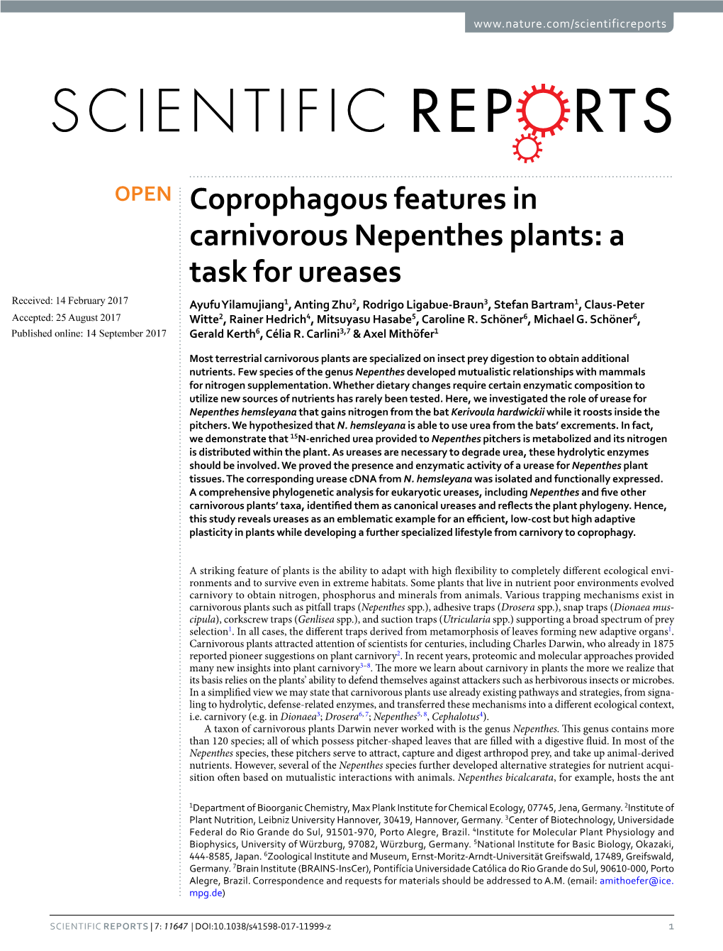 Coprophagous Features in Carnivorous Nepenthes Plants: a Task for Ureases
