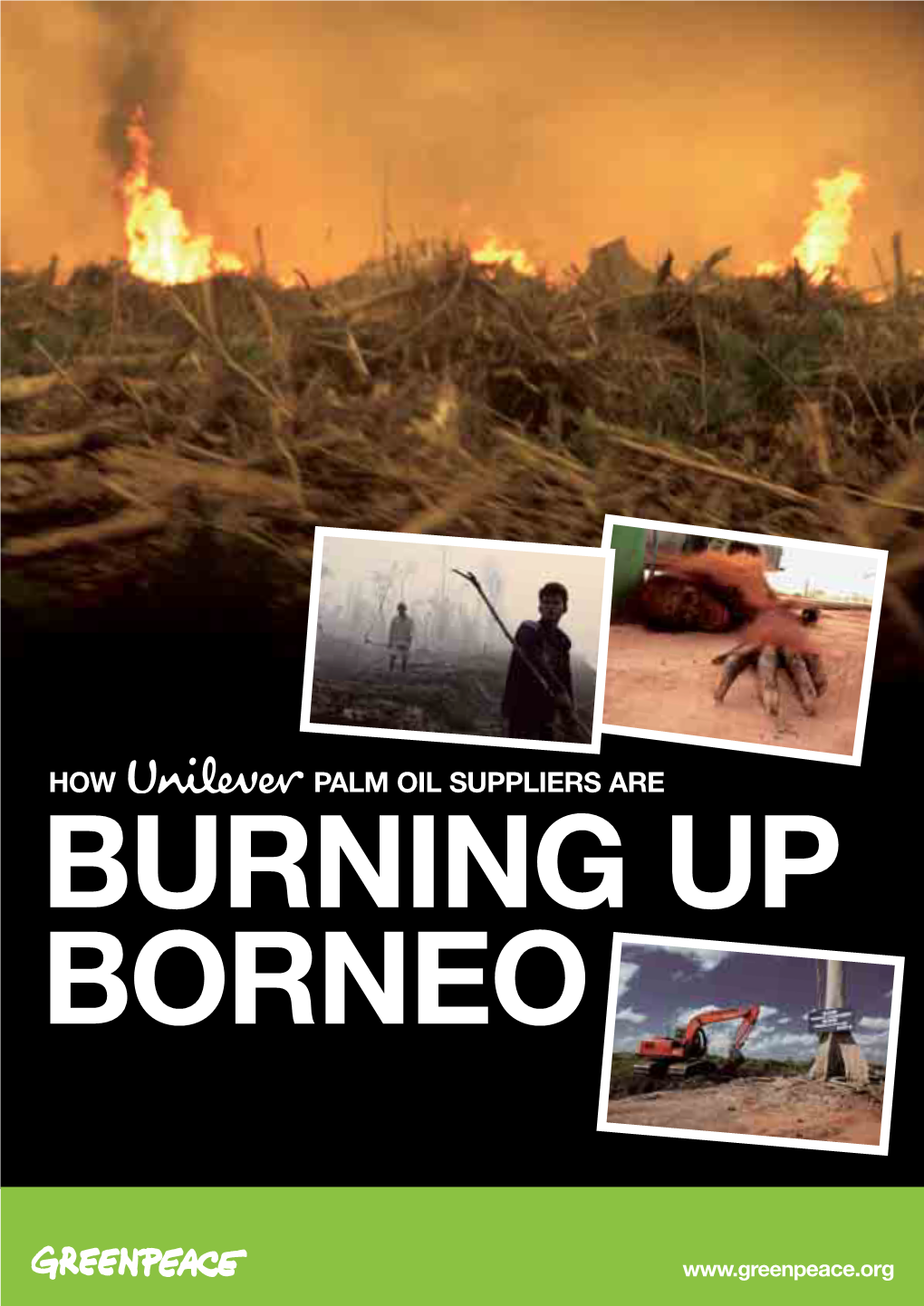 How Palm Oil Suppliers Are Burning up Borneo