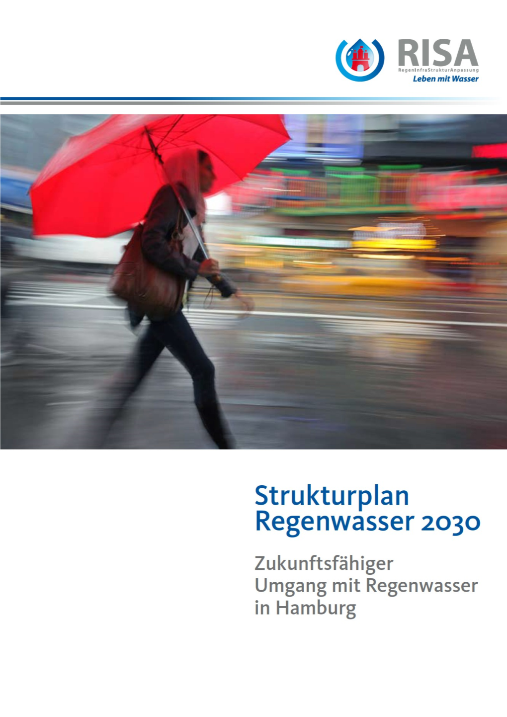 Risa Strukturplan Regenwasser 2030