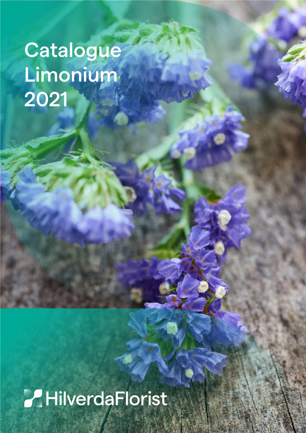 Catalogue Limonium 2021
