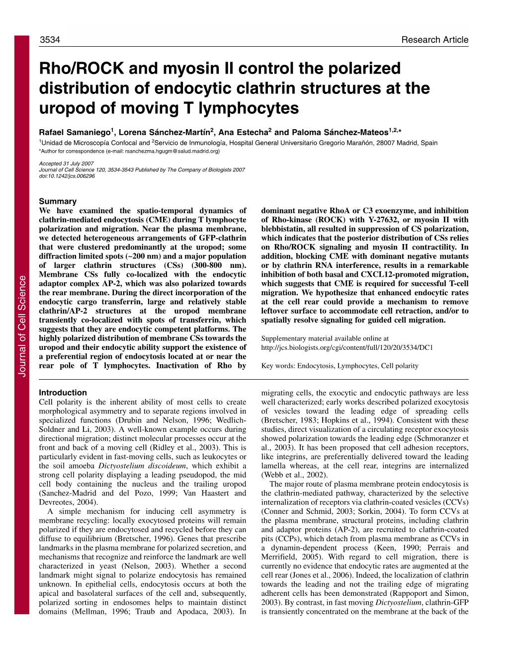 Rho/ROCK and Myosin II Control the Polarized Distribution of Endocytic Clathrin Structures at the Uropod of Moving T Lymphocytes