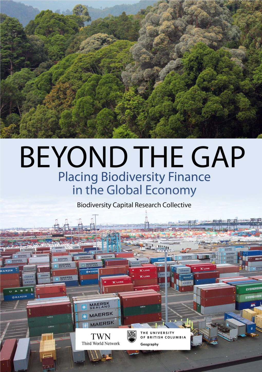Beyond the Gap: Placing Biodiversity Finance in the Global Economy Biodiversity Capital Research Collective1