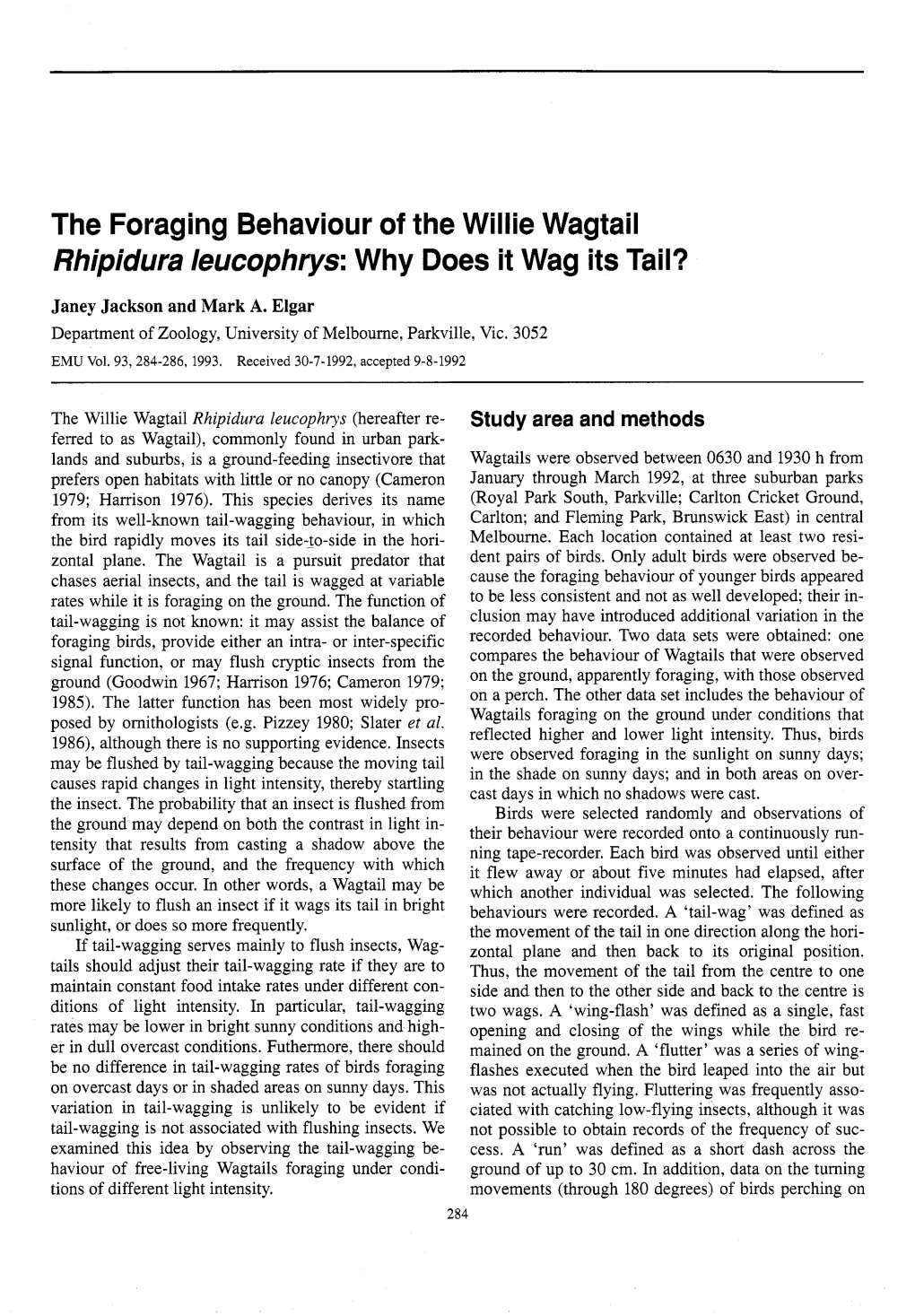 The Foraging Behaviour of the Willie Wagtail Rhipidura Leucophrys: Why Does It Wag Its Tail?